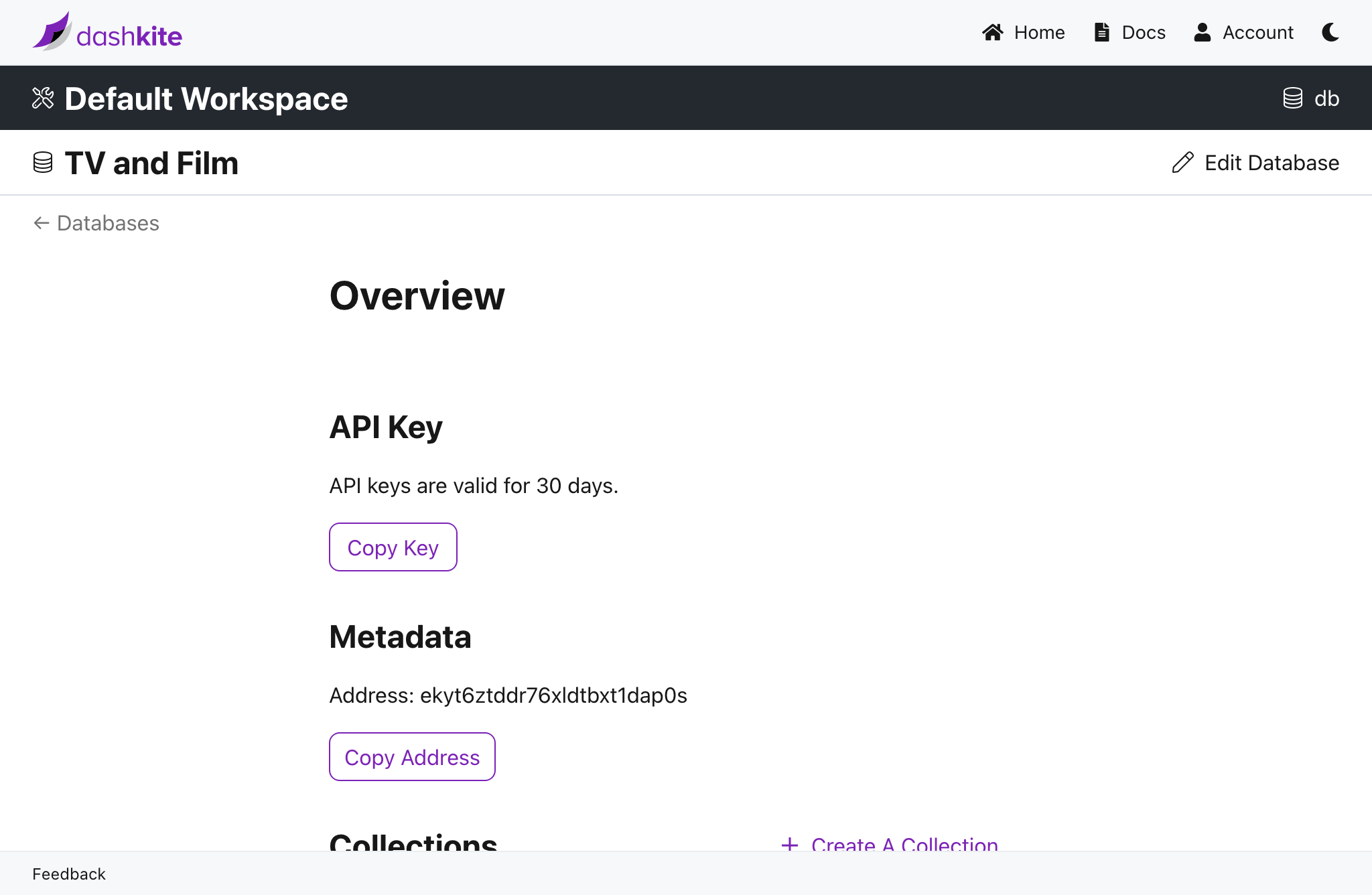 Get Database API Key Screenshot